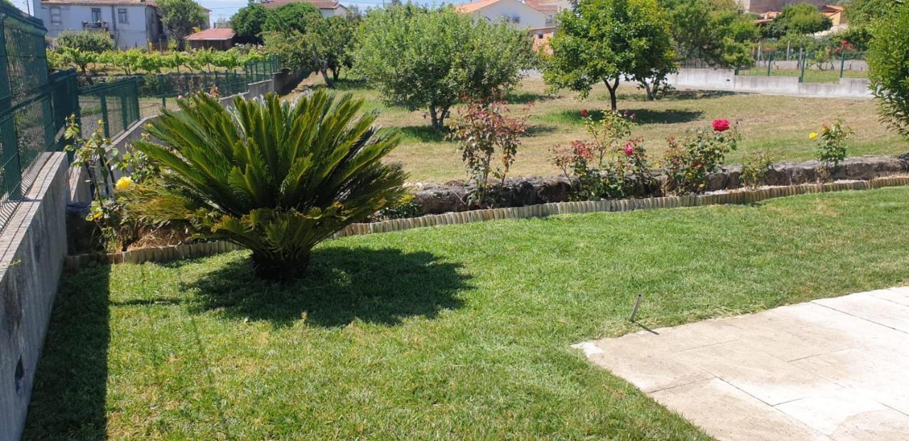 Quinta Do Paulo * Caramulo